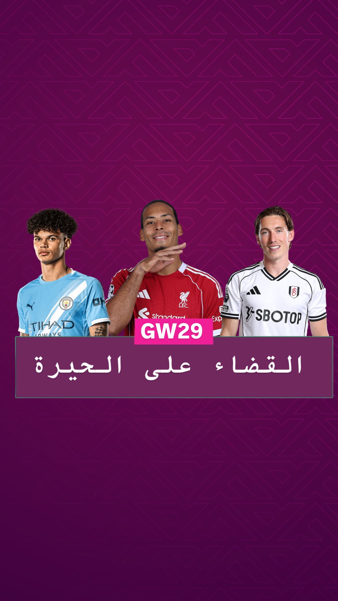 القضاء على الحيرة الجولة ٢٩